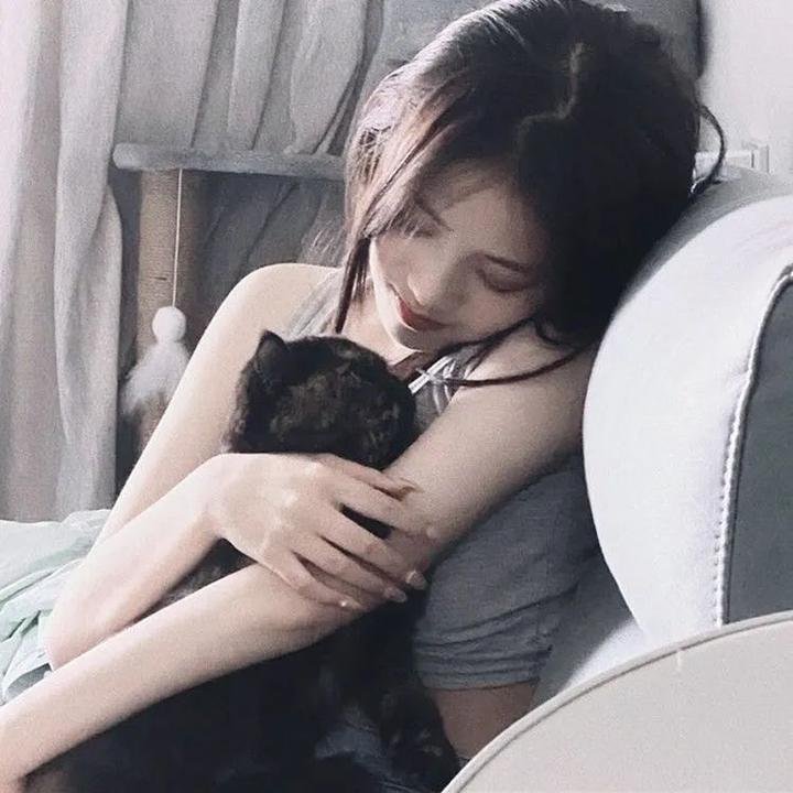 丢羊